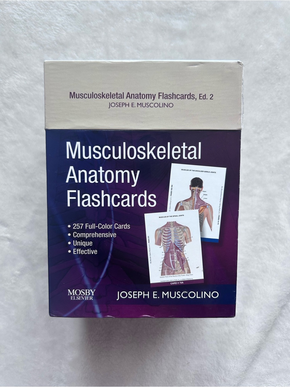 Joseph E. Muscolino Musculoskeletal Anatomy Flashcards with 257 cards for Study
